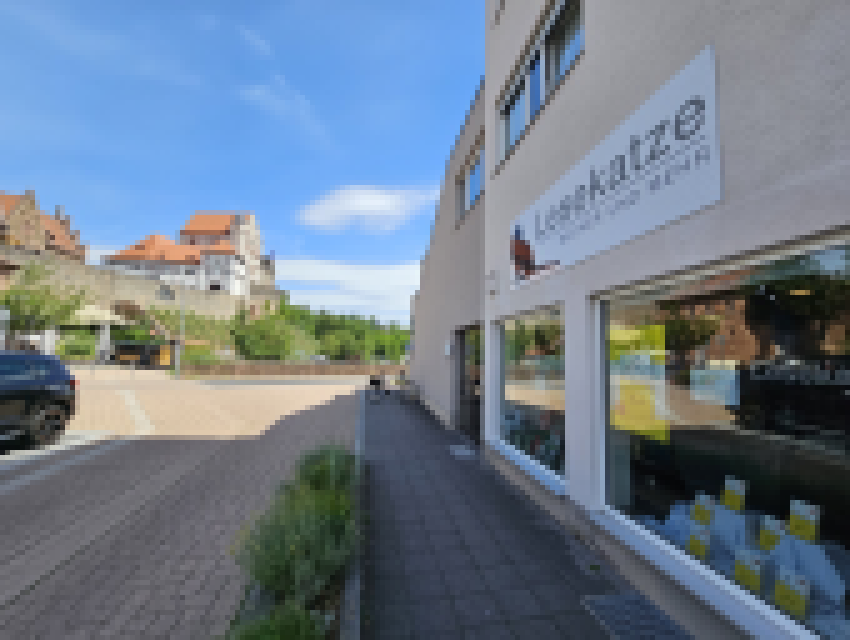 Lesekatze: Romantische Lage unter der Burg