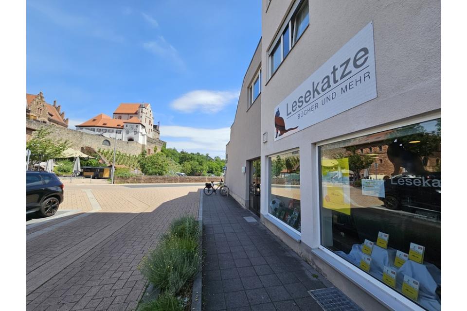 Lesekatze: Romantische Lage unter der Burg